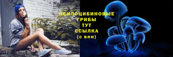 PSILOCYBIN Алексин