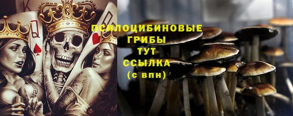 спайс Аркадак