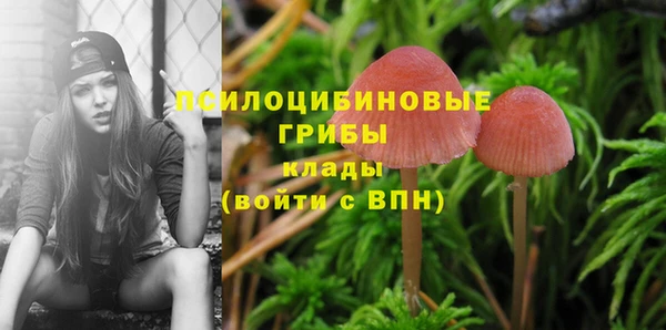 спайс Аркадак