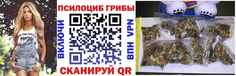 Галлюциногенные грибы MAGIC MUSHROOMS Петропавловск-Камчатский